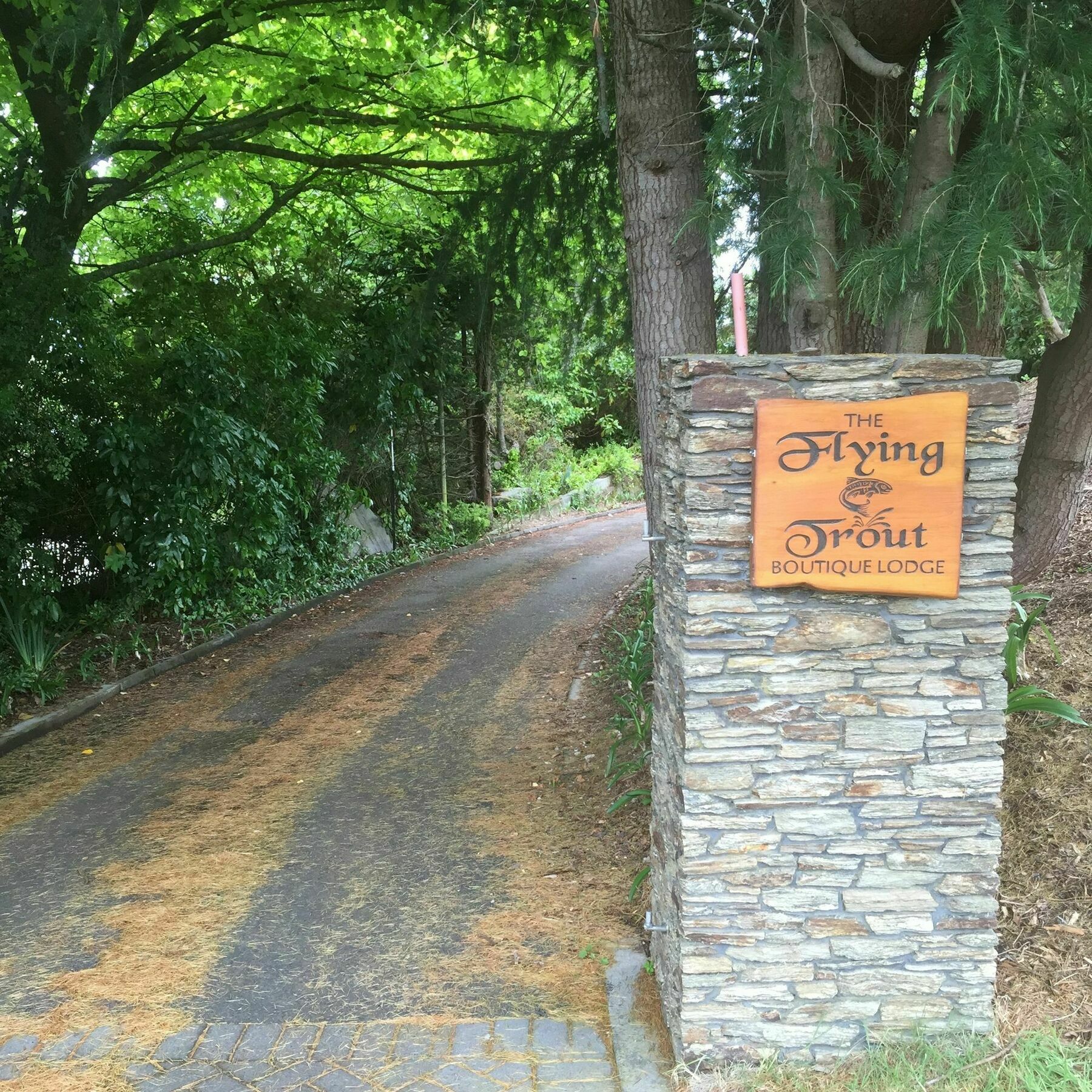 The Flying Trout Boutique Lodge Taupo Exterior foto